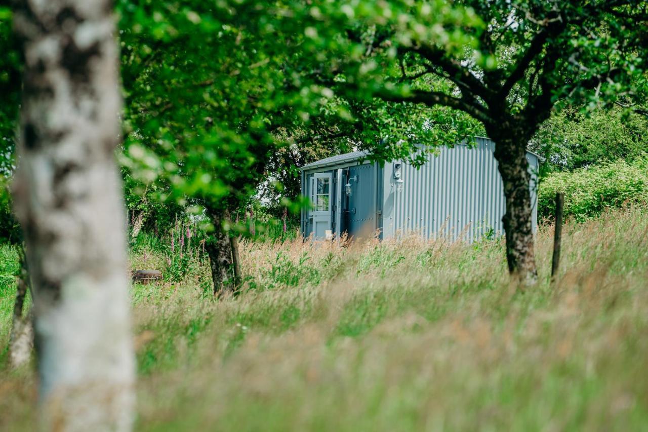 Blatchford Briar - Award Winning Private Shephards Huts With Their Own Secluded Hot Tubs Milton Abbot Zewnętrze zdjęcie