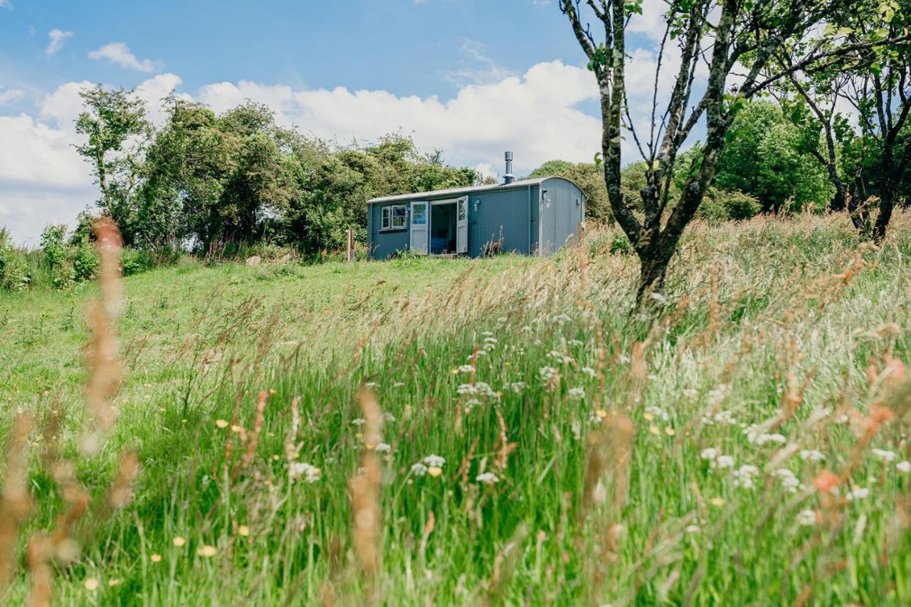 Blatchford Briar - Award Winning Private Shephards Huts With Their Own Secluded Hot Tubs Milton Abbot Zewnętrze zdjęcie