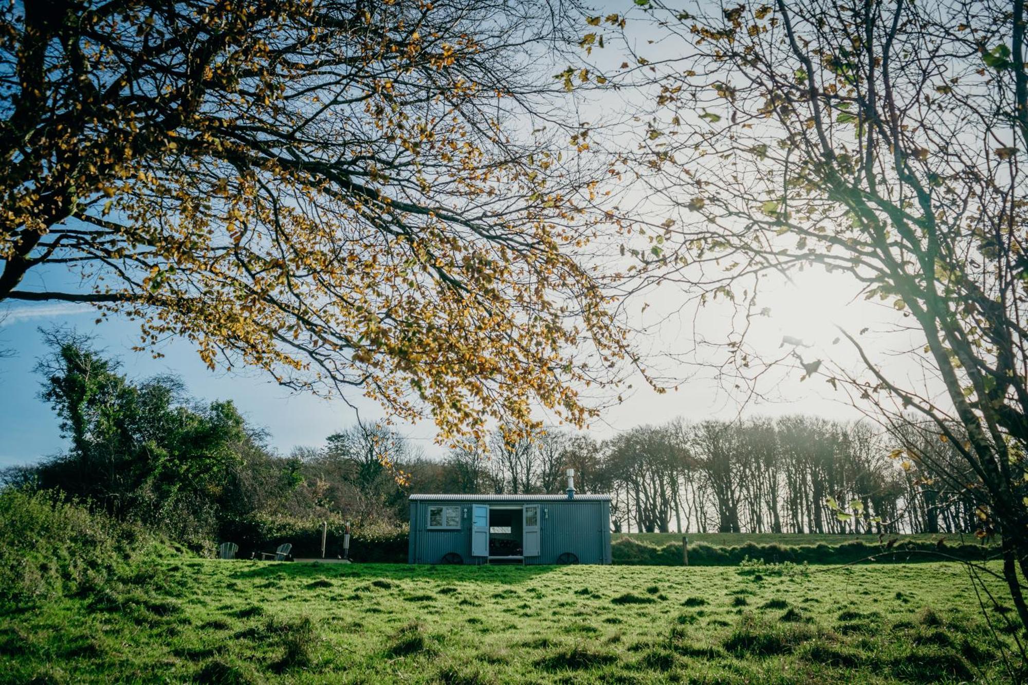 Blatchford Briar - Award Winning Private Shephards Huts With Their Own Secluded Hot Tubs Milton Abbot Zewnętrze zdjęcie